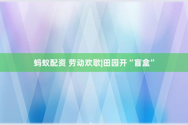 蚂蚁配资 劳动欢歌|田园开“盲盒”