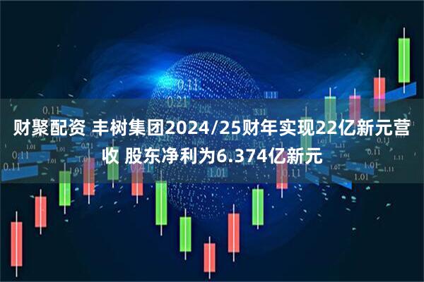 财聚配资 丰树集团2024/25财年实现22亿新元营收 股东净利为6.374亿新元
