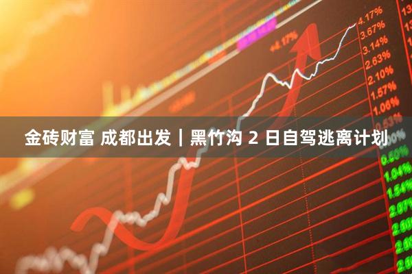 金砖财富 成都出发｜黑竹沟 2 日自驾逃离计划